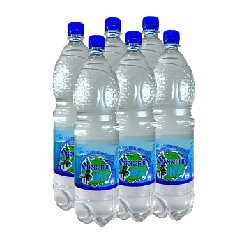 Вода "Оковский лес" газированная, 1,5 л. (6 шт. в упак.)